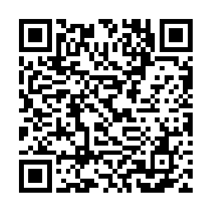 已经不便再对任何外人表达了――做到这样你还不服二维码生成