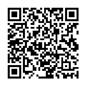 已经不是一位出入无极境六重天的强者所能发挥出来的二维码生成