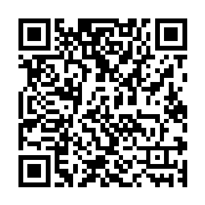 已经不是以前那个恨尽天下男子又恨自己不是男儿身的长公主二维码生成