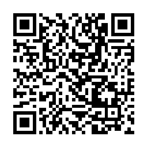 已经不知不觉的来到西卡森林的一片火红色森林区域二维码生成