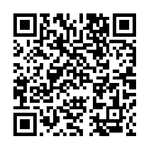 已经不知不觉间的开始认可张东城这家刚刚创办的东城影业二维码生成