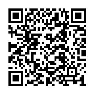 已经交缠在过去命运齿轮的种种咬合下密不可分二维码生成