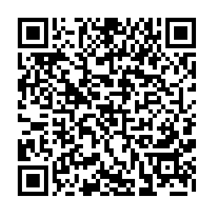 已经令我稍稍明白为何有那么多人都心甘情愿被打上三大本源法则的烙印了二维码生成