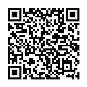 已经任命了顾清云以及太师等四名诰命大臣处理朝政二维码生成