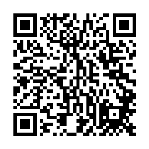 已经修成真神的季文长真灵在这一剑下竟被一剑划成两半二维码生成