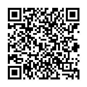 已经先后接到了多达几十份的片约邀请都是给康明明的二维码生成