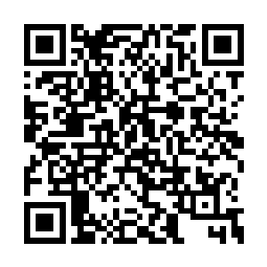 已经全然不记得刚才他们在心中对许紫烟的愤怒二维码生成