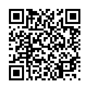 已经全部落在了皇蓝一个人的肩膀上二维码生成