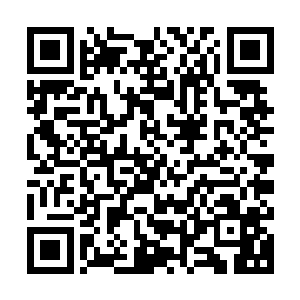 已经利用信仰之力恢复了伤势的幻形妖也顿时得意的大笑了起来二维码生成