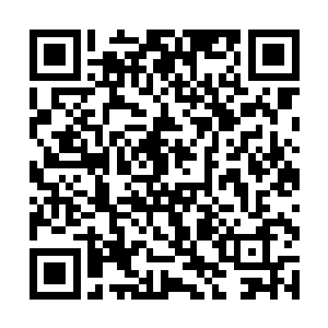 已经到了可以真正修炼战技和点燃明点的时候了……二维码生成