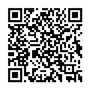 已经到了这个价格怕是不会再有人和自己挣了吧二维码生成