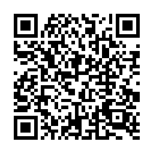 已经刺入到了另外一只身体青灰的七级的蜘蛛魔的体内二维码生成