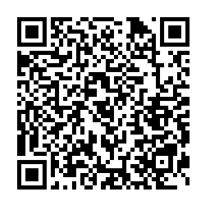 已经化为水元素之体的他也立刻受到了创世神雷力量的剧烈干扰和侵蚀二维码生成