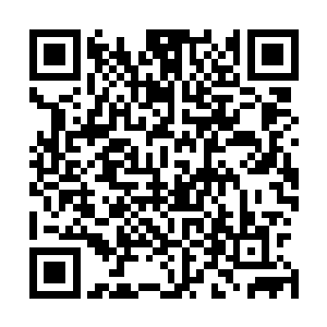 已经化解蛮荒气息的圣君正好找到机会发泄心中的一腔怒火二维码生成