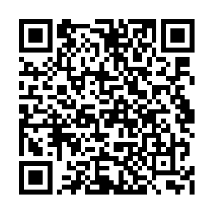 已经十几年几乎没离开过实验室的花无缺出现了二维码生成