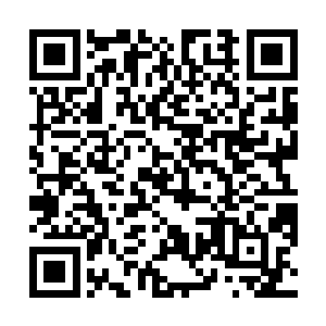 已经可以看出徐怀瑾不愧是张毅一手带出来的大将之才二维码生成