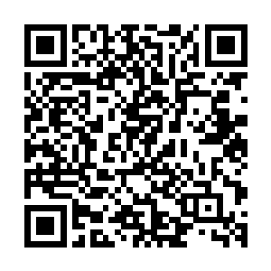 已经和大唐城皇子府中的管家在遥感通讯之中争执了半个多月二维码生成