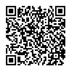 已经哭到自己十三岁时养死的那只兔子的黄老太听见王婶骂自己闺女二维码生成