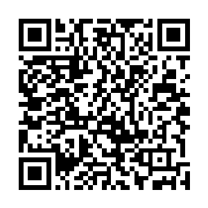 已经喊到只想直接将那两个家伙裹着被子从窗户上扔下去二维码生成