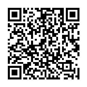 已经在万分恳切地祈求掌管着最后激发第三道阵法的王长老二维码生成