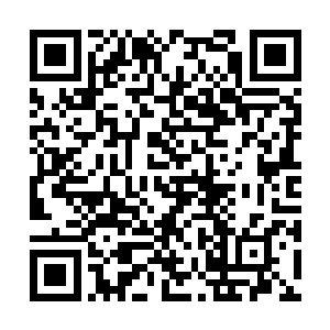 已经在开始盘算寻找另外的始境强者进行多次测试二维码生成