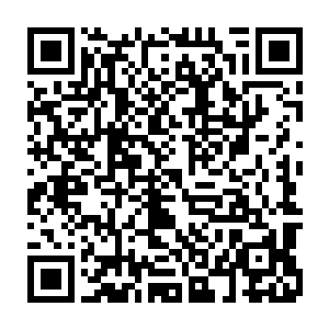 已经在淬厉出一支宋军当中罕见的可以决胜千里的轻重骑混合的强大骑兵集团二维码生成