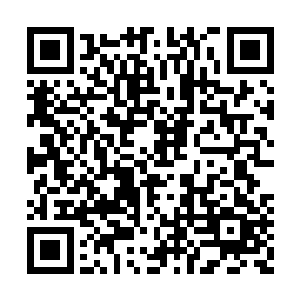 已经在犹豫着要不要向大长老透露自己的身份了二维码生成