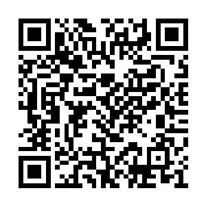 已经在胃或者肠子里面处于变成大粪的过程中了二维码生成