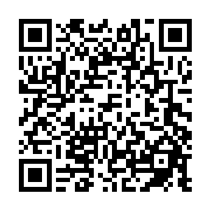 已经在脑海里构思怎么给夫君和二叔一人弄一身裘皮大氅二维码生成