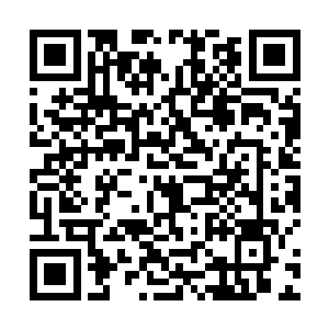 已经多了一种当初没有的气质――那种满不在乎的霸气二维码生成