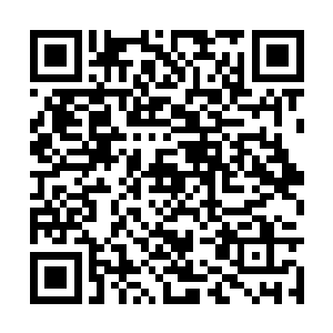 已经失去了战斗能力的帝子溪蜃完全没有抵抗之力二维码生成