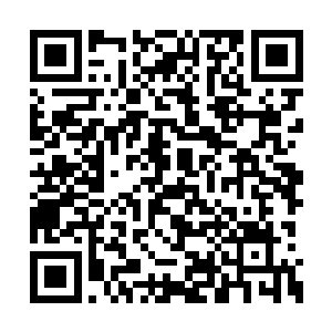 已经完全可以做到不依赖剑尘而进行独自活动了二维码生成