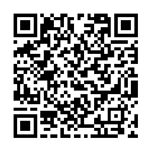 已经完全陷入了当初追随教官大杀四方纵横驰骋的日子二维码生成