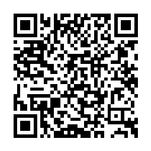 已经将家族中全部的二转蛊师的情报都收集到手二维码生成