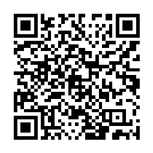 已经将梓箐收集的那些种子全部撒进贫瘠干瘪的土地上二维码生成