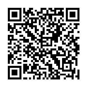 已经将自己经过精心祭炼的赤甲虫弄到了老者的衣袖之中二维码生成