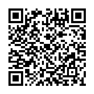 已经尝到过甜头的人不会再甘心做以前的小山贼二维码生成