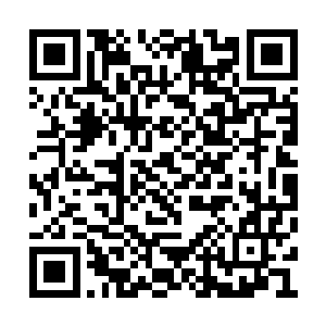 已经差不多可以说是真主的传人的阿克拉基队长二维码生成