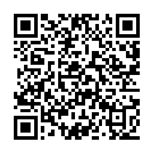 已经开始对坦克的哥哥和嫂子进行了补偿和道歉二维码生成