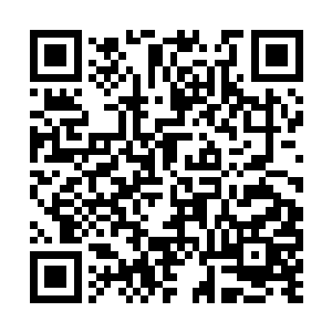 已经开始盘算着该如何利用这样一株珍贵无比的的二维码生成