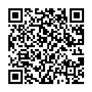 已经开始讲鬼故事的罗琳此刻是使劲抱紧了我的胳膊二维码生成