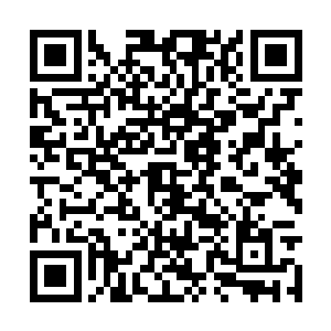 已经开始进入到了上古毒脉的那个核心山谷当中了二维码生成