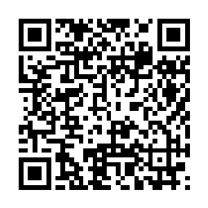 已经形成了一套流水线一样的利润分配和工作模式二维码生成