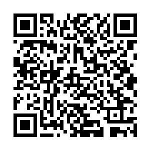 已经忘了自己才是two的大股东］心看我一个人忙前忙后二维码生成