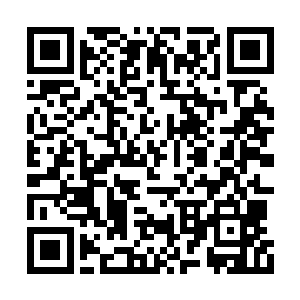 已经快喘不过气的支持者发出了歇斯底里的嚎叫二维码生成