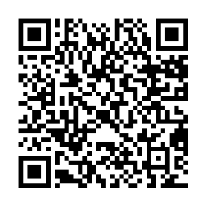 已经快憋出病来的猴子正无聊得半卧在卧榻上打哈欠呢二维码生成