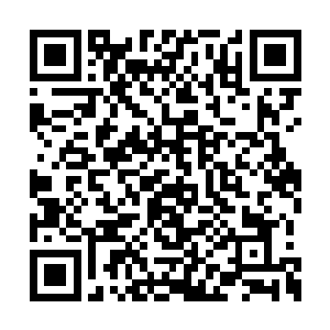 已经快要实现理想的我们难道要去折断他的羽翅二维码生成