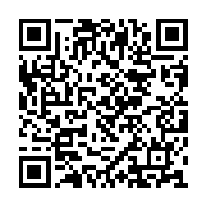 已经悄悄地将散布在各地的星火成员都召回来了二维码生成