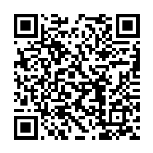 已经想到最坏打算的流墨墨和雪如楼闻言有点惊讶二维码生成