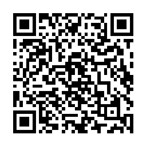 已经成为了诺曼帝国位于卡雷山脉南方的一个总基地二维码生成